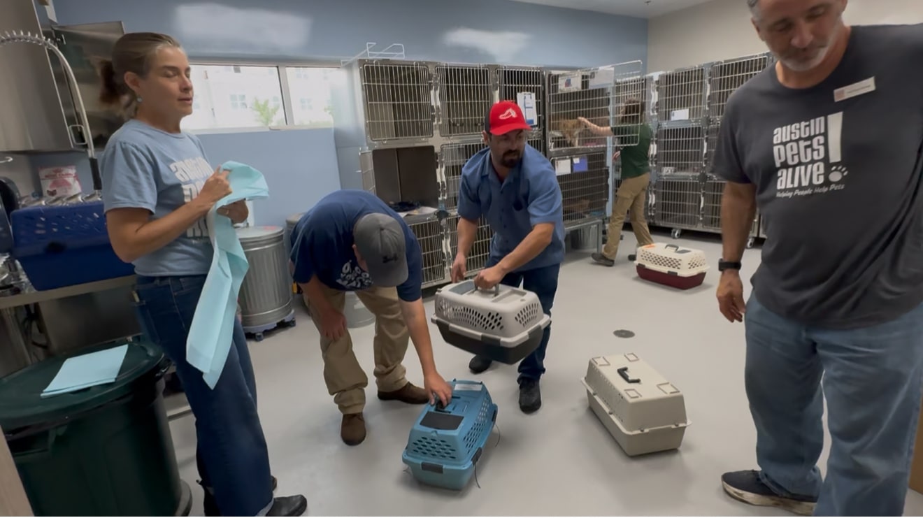 Kerrville Pets Alive mobilizes flood relief effort for lost, displaced pets