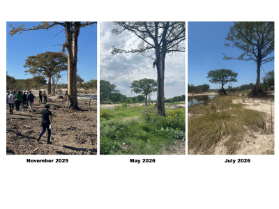 River Restoration